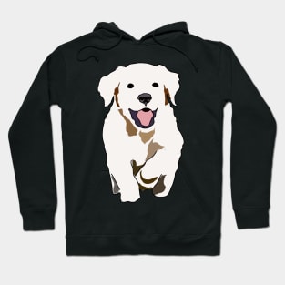 Dog lover gift Hoodie